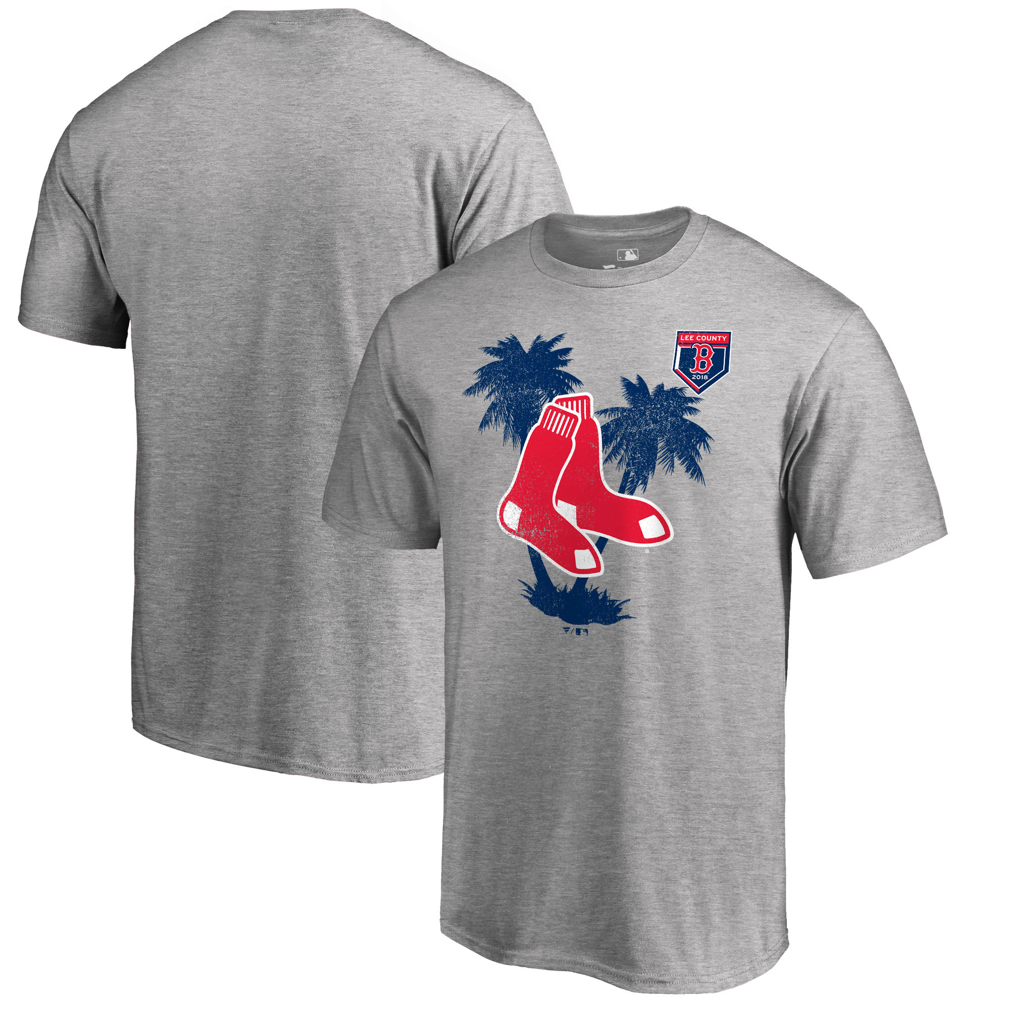 Men's Boston Red Sox Fanatics Branded 2018 MLB Spring Training Vintage T-Shirt – Heather Gray